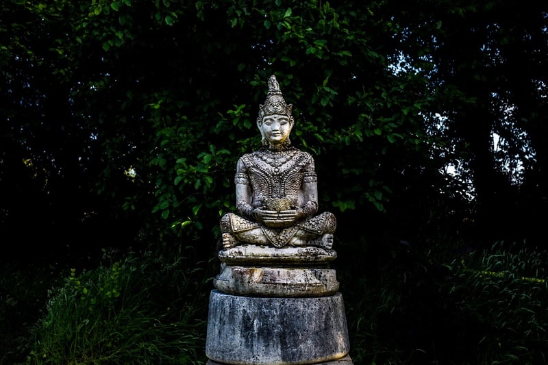 Meditation Workshops